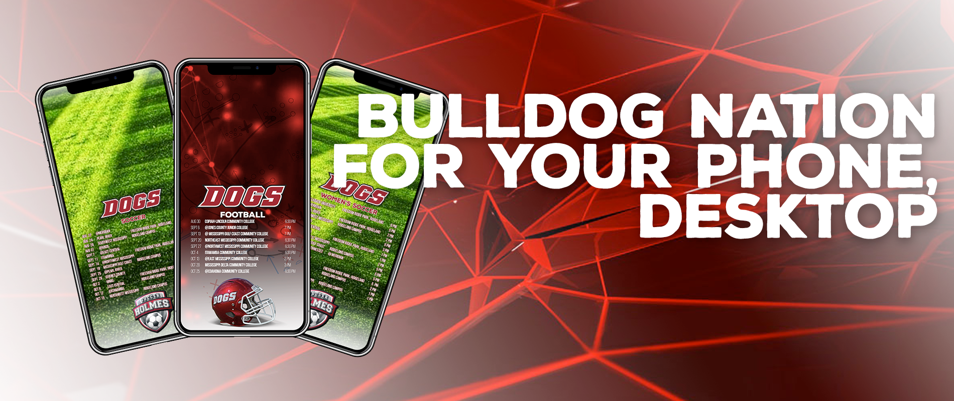 Bulldog Nation Wallpapers