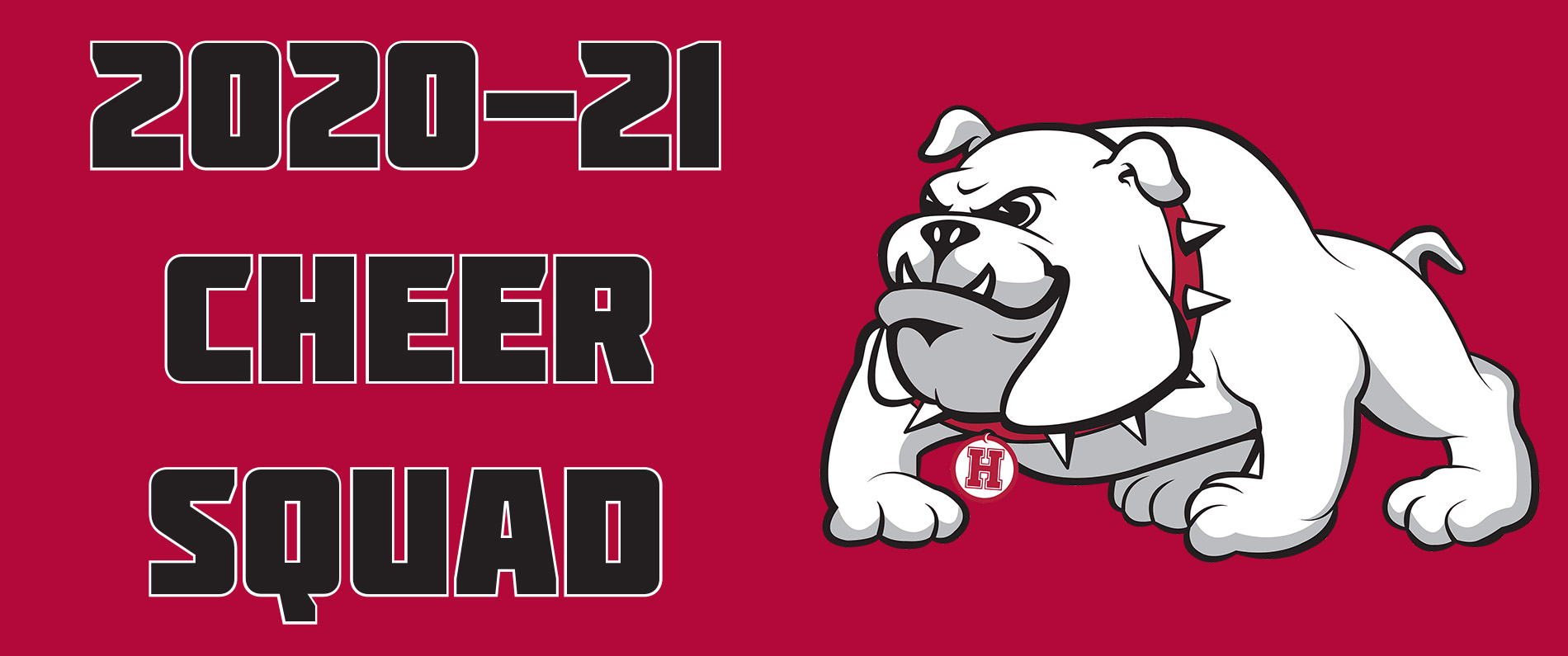 Cheerleaders for 2020-21 have been announced